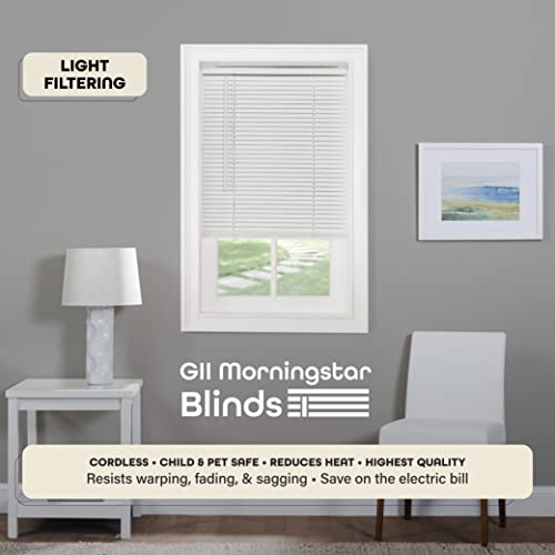 1" Light Filtering Mini Blind G704756
