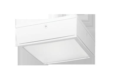 10W White LED Canopy Light S477004