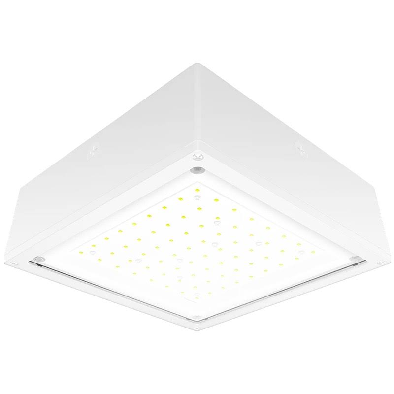 10W White LED Canopy Light S477004