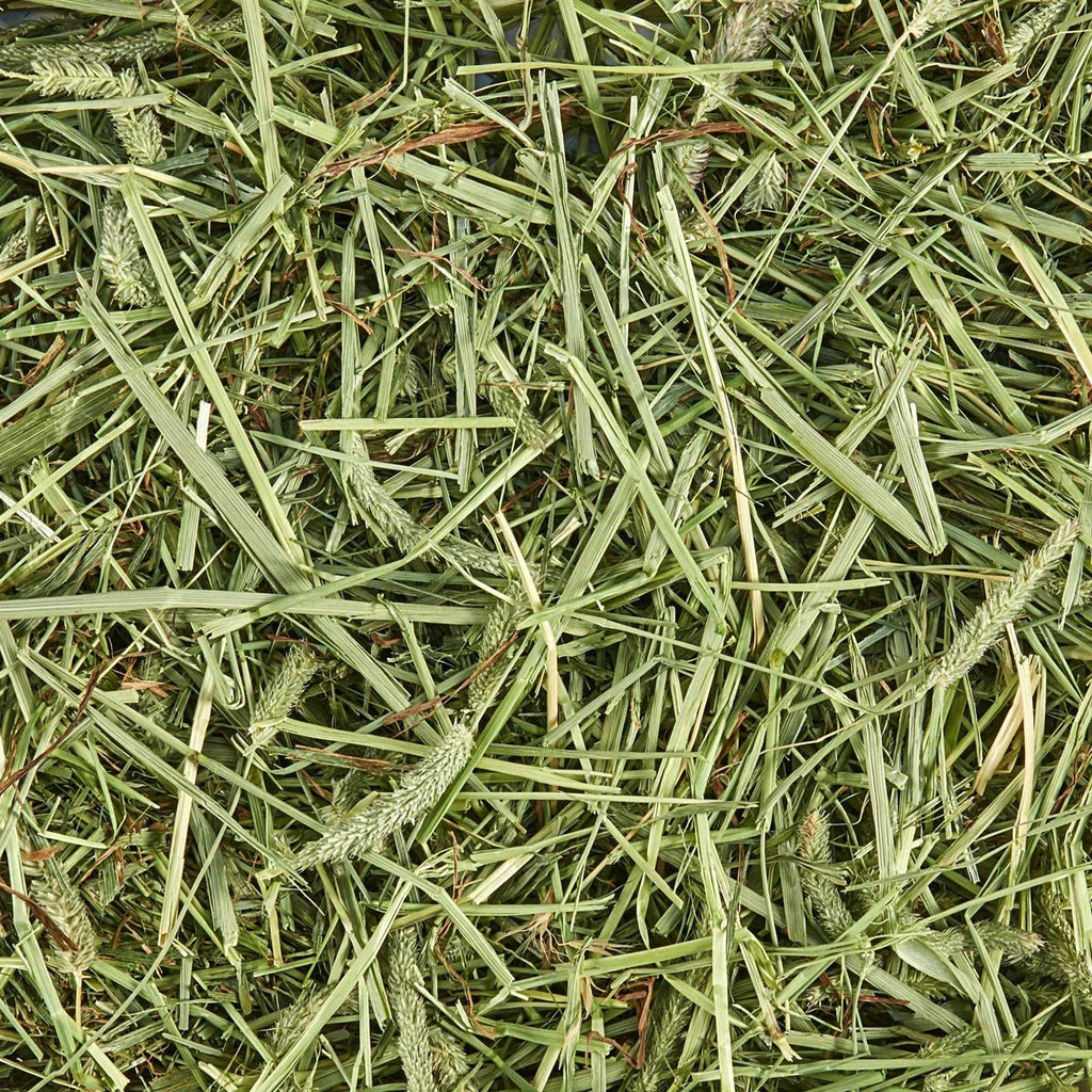 Timothy Hay for Small Animals M9889
