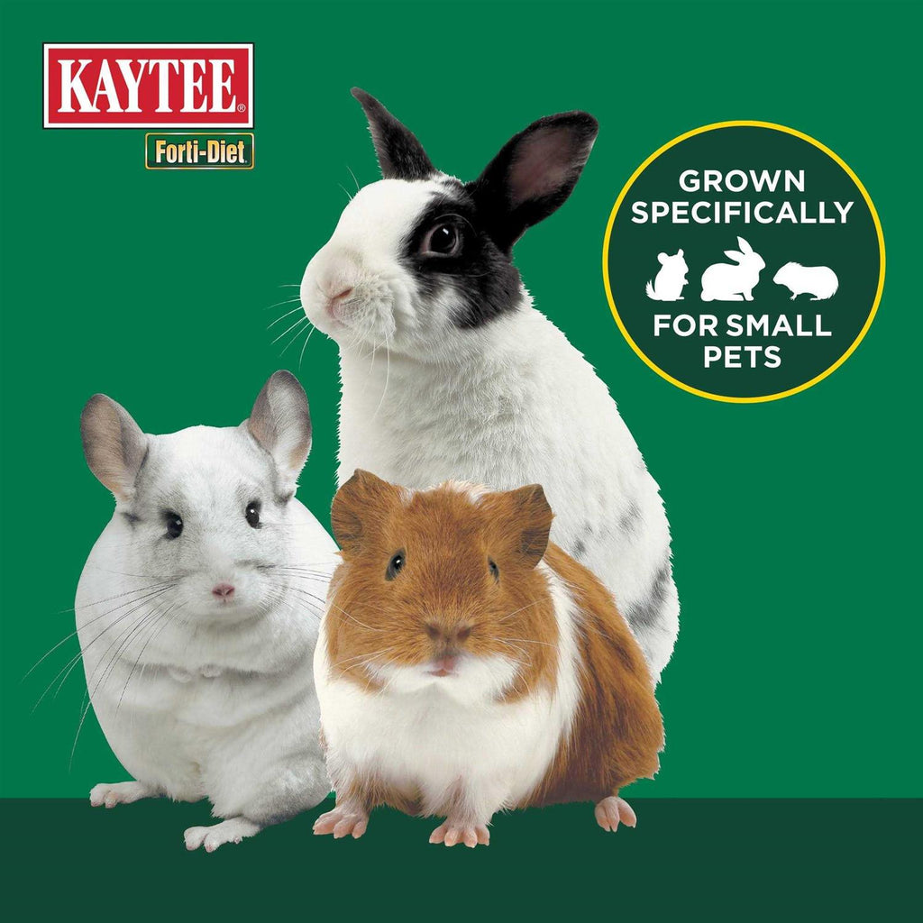 Timothy Hay for Small Animals M9889